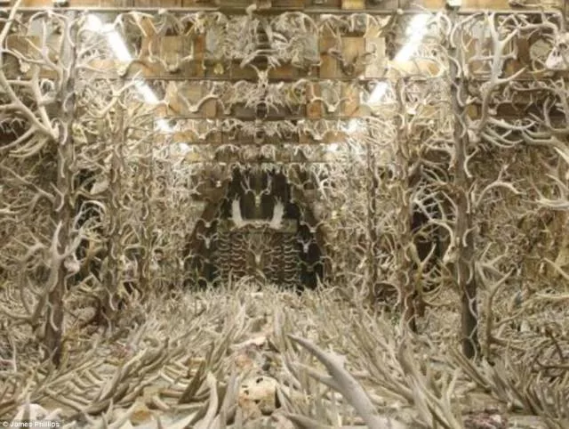 Top 40 photos les plus wtf jamais vues - #17 