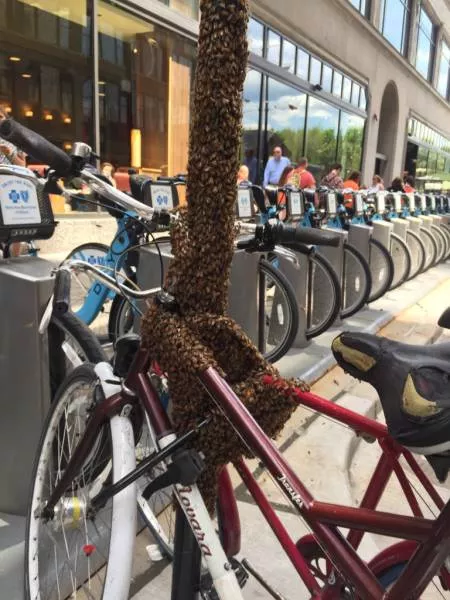 The 40 most wtf pictures ever - #2 