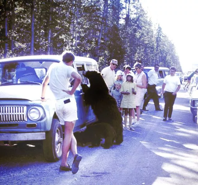 The 40 most wtf pictures ever - #25 