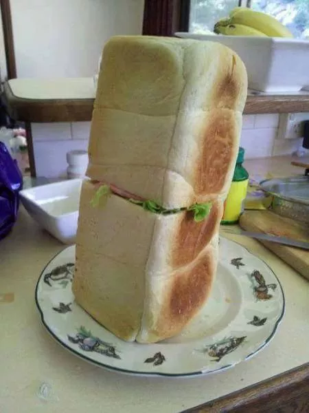 The 40 most wtf pictures ever - #28 