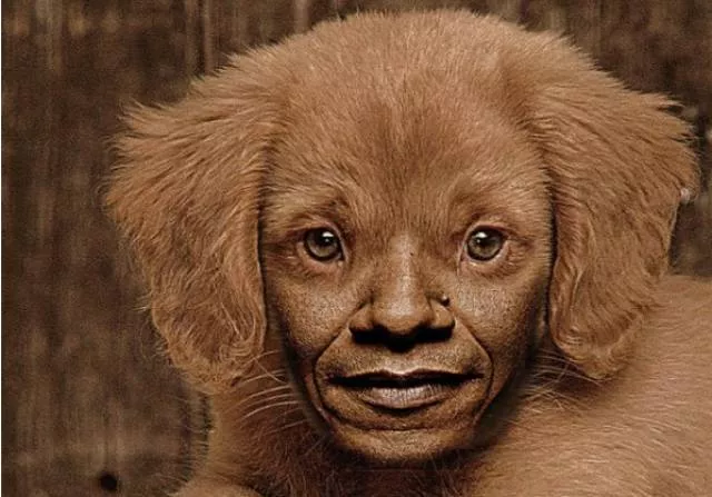 The 40 most wtf pictures ever - #4 