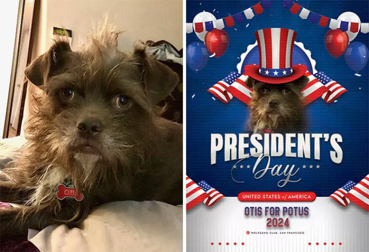 Quand des gens ont demande des retouches photo et ont eu des resultats hilarants - #10 Otis président 2024 — aidez-moi à créer l’affiche de campagne la plus légendaire