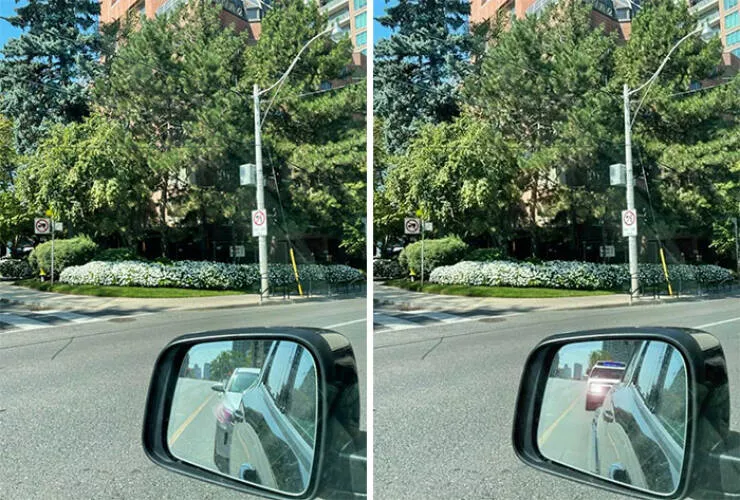 Quand des gens ont demande des retouches photo et ont eu des resultats hilarants - #17 Ma mère a pris une photo avec des fleurs — ajoutez des gyrophares derrière elle pour piéger mon père !