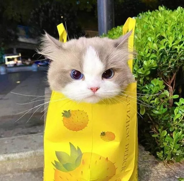 Picdump 1013 - #32 