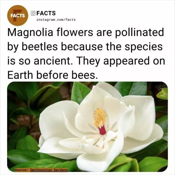 A roundup of mind expanding and curious facts - #11 