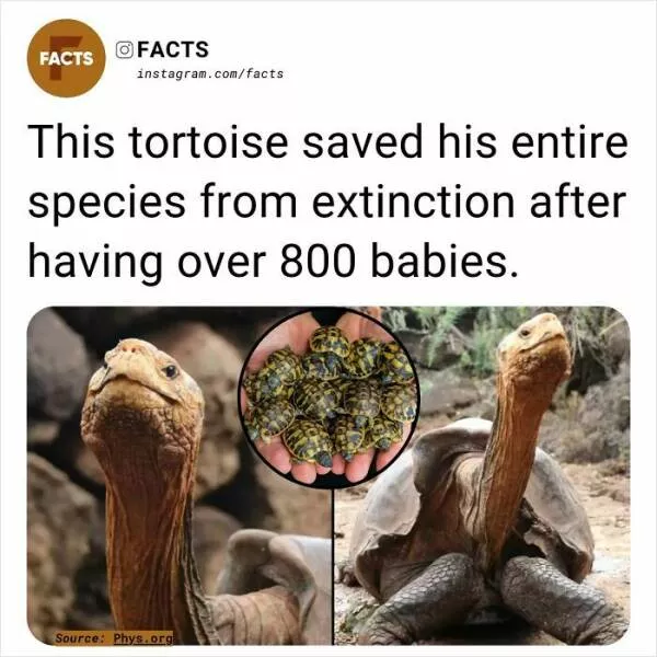 A roundup of mind expanding and curious facts - #13 