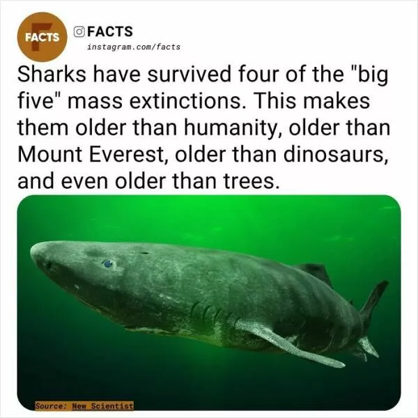 A roundup of mind expanding and curious facts - #21 