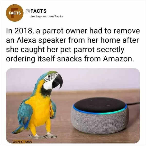 A roundup of mind expanding and curious facts - #22 