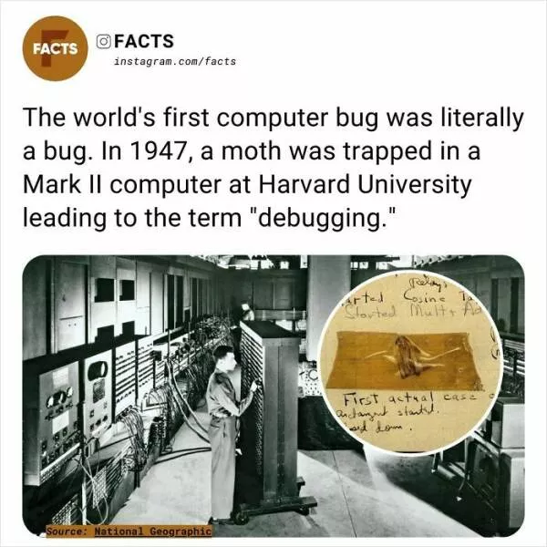 A roundup of mind expanding and curious facts