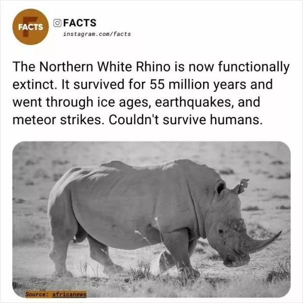A roundup of mind expanding and curious facts - #25 