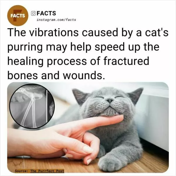 A roundup of mind expanding and curious facts - #29 