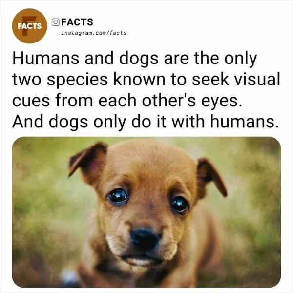 A roundup of mind expanding and curious facts - #35 