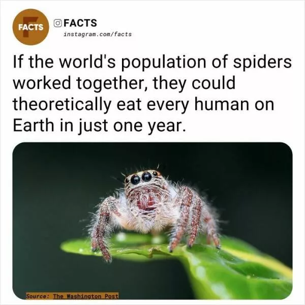 A roundup of mind expanding and curious facts - #37 