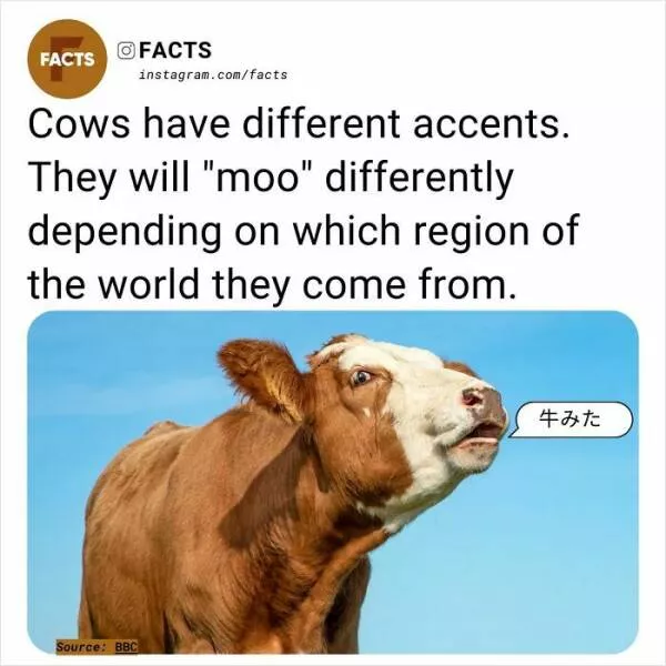 A roundup of mind expanding and curious facts - #40 