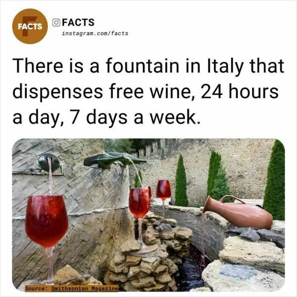Une collection des faits les plus fascinants et surprenants - #41 