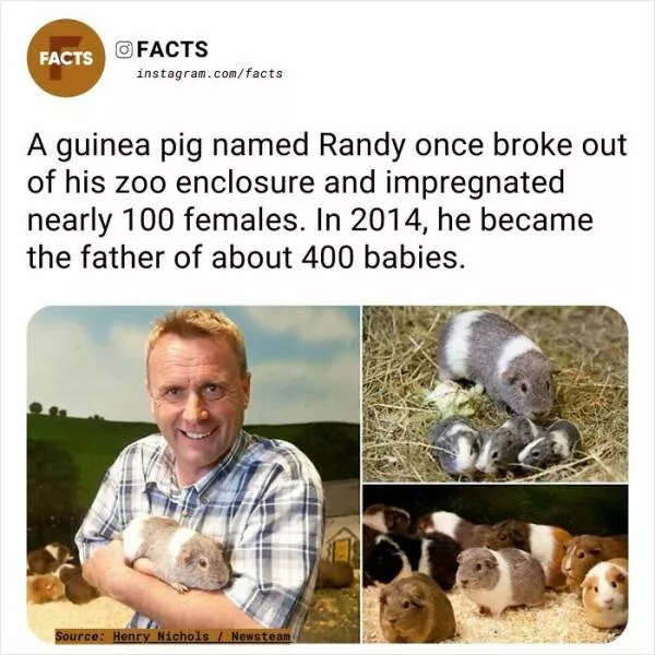 A roundup of mind expanding and curious facts - #48 