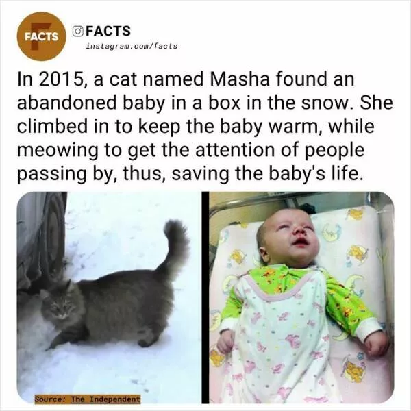 A roundup of mind expanding and curious facts - #5 