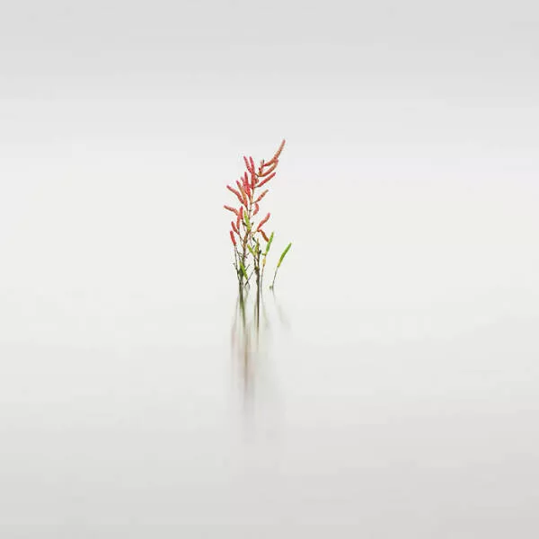 Stunning natural wonders that reveal earths real charm - #11 Silver Winner: Tranquil Flow By Alessandro Tagliapietra Stunning natural wonders that reveal earths real charm - #11 Silver Winner: Tranquil Flow By Alessandro Tagliapietra