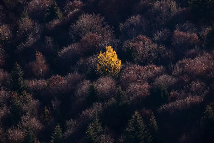 Stunning natural wonders that reveal earths real charm - #14 Fade Into Grey – Scene By Martin Babark Stunning natural wonders that reveal earths real charm - #14 Fade Into Grey – Scene By Martin Babark