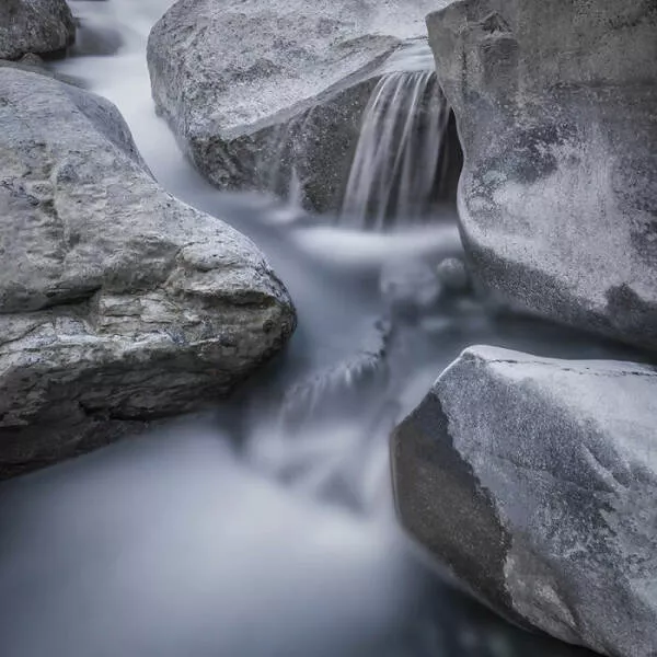 Photos epoustouflantes de la nature qui revelent la vraie beaute de la terre - #18 Rencontre Sous La Brume – Par Petros Nikolaidis