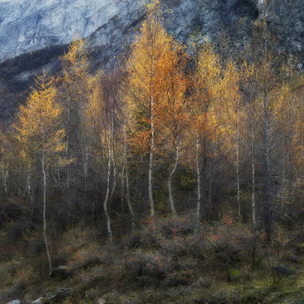 Photos epoustouflantes de la nature qui revelent la vraie beaute de la terre - #19 Concours De Beauté Naturelle – Vision De Petros Nikolaidis