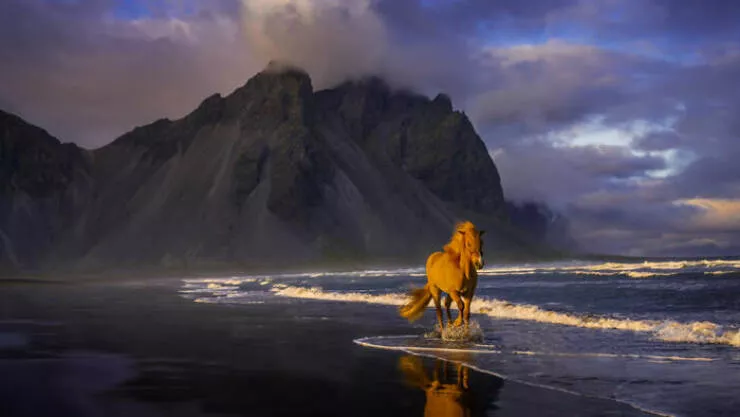 Stunning natural wonders that reveal earths real charm - #2 Galloping Through Gold – Jan-Tore Oevrevik’s Vision Stunning natural wonders that reveal earths real charm - #2 Galloping Through Gold – Jan-Tore Oevrevik’s Vision