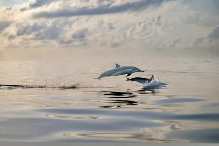 Stunning natural wonders that reveal earths real charm - #4 Soft Light, Silent Morning – Shot By Melesan Serge Stunning natural wonders that reveal earths real charm - #4 Soft Light, Silent Morning – Shot By Melesan Serge