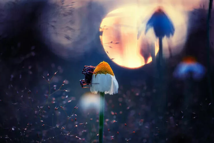 Stunning natural wonders that reveal earths real charm - #7 Otherworld Realms – Frame By Georgi Georgiev Stunning natural wonders that reveal earths real charm - #7 Otherworld Realms – Frame By Georgi Georgiev