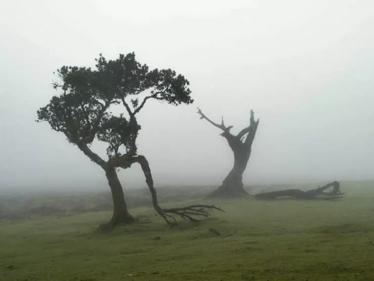 Stunning natural wonders that reveal earths real charm - #8 Guided By Her Fingers – Image By Jessica Cantlin Stunning natural wonders that reveal earths real charm - #8 Guided By Her Fingers – Image By Jessica Cantlin