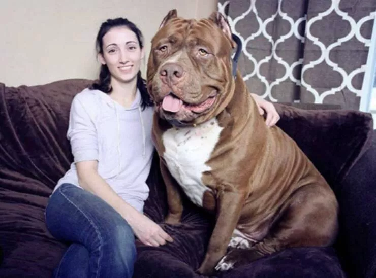 Picdump 1014 - #25 