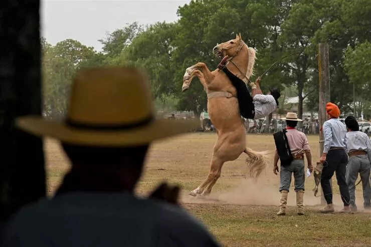 Picdump 1014 - #33 