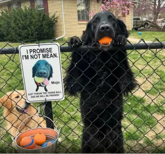 Picdump 1014 - #51 