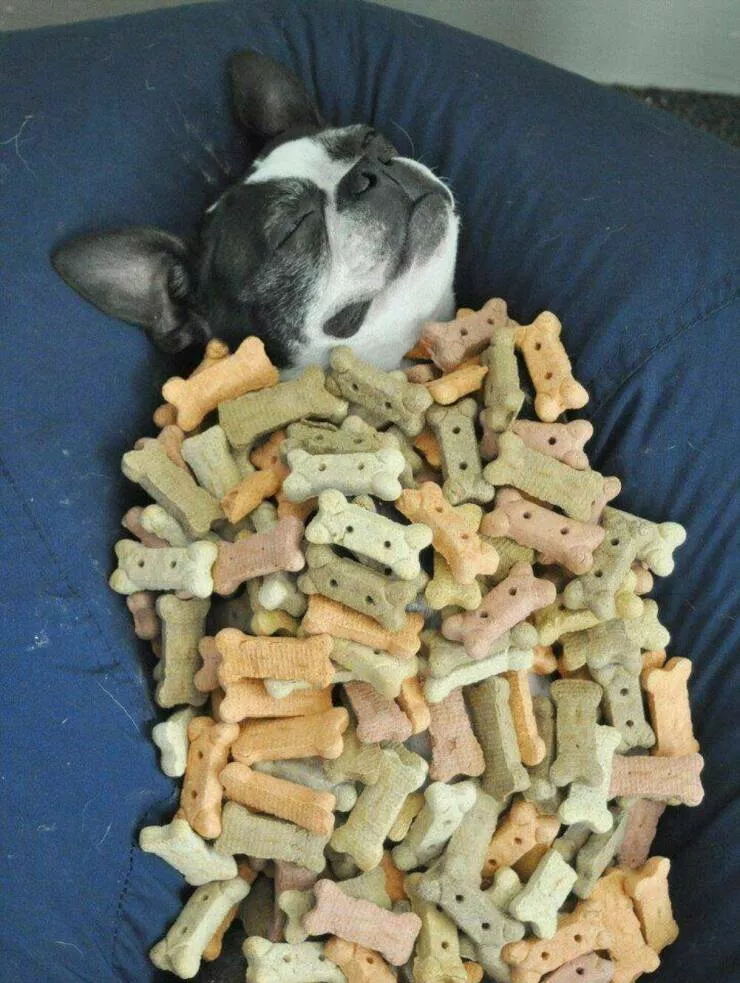 Picdump 1015 - #29 