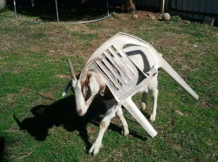 Picdump 1015 - #52 