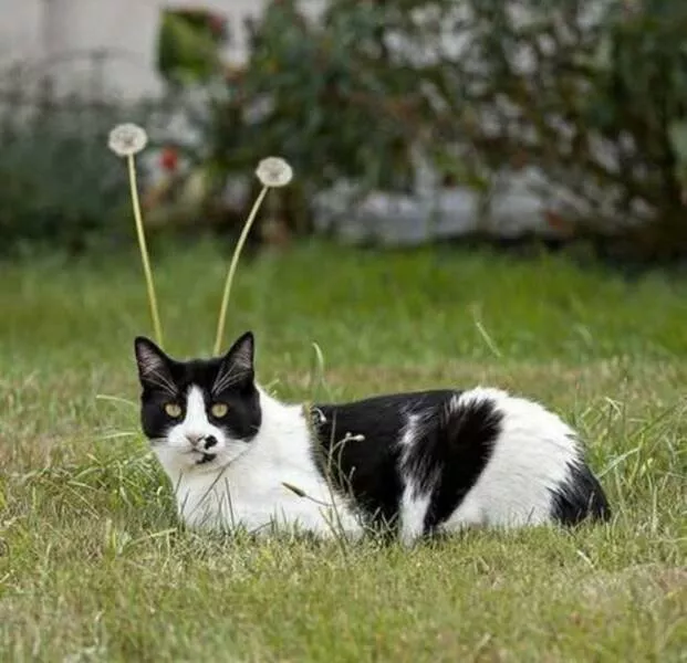 Picdump 1016 - #5 