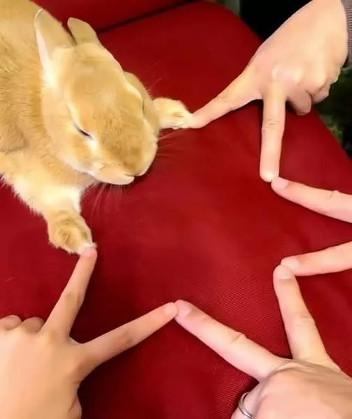 Picdump 1018 - #7 