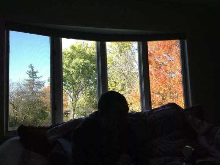 Extraordinary images showing the world from a new perspective - #15 Window Illusion Turns Backyard Into A Seasonal Collage