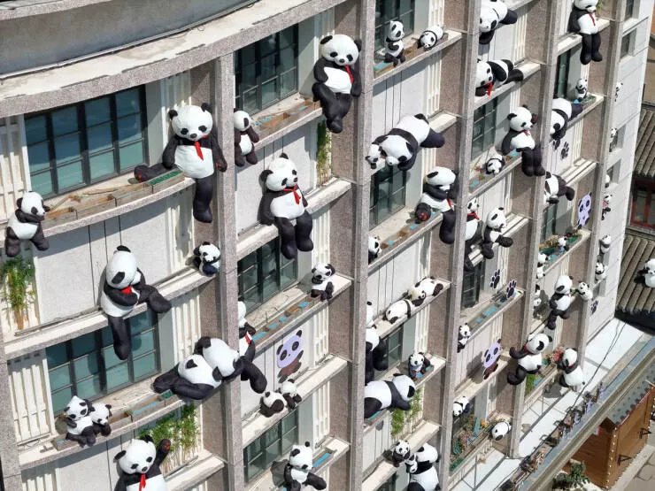 Picdump 1019 - #14 