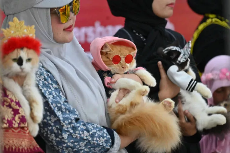 Picdump 1019 - #17 