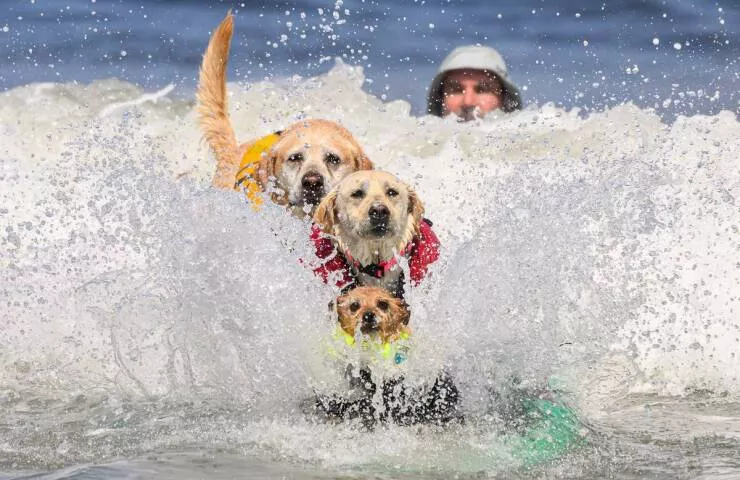 Picdump 1019 - #24 