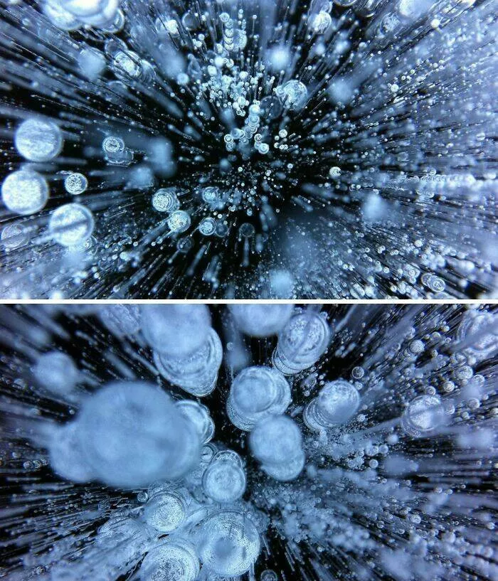 Sexy closeups of ordinary things - #23 Microscopic Human Bone Resembles Underwater Coral