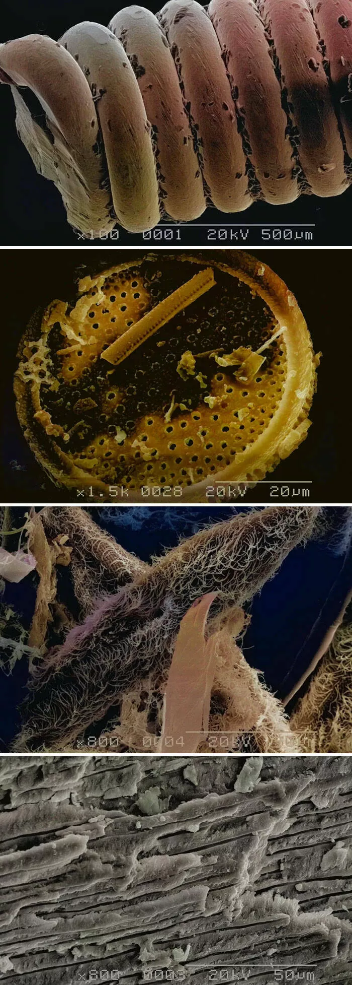 Sexy closeups of ordinary things - #26 Vinyl Records Up Close Show Grooved Roadways
