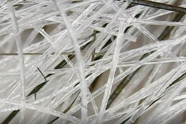 Sexy closeups of ordinary things - #5 Gray Hair Turns Out To Be Transparent Under Magnification