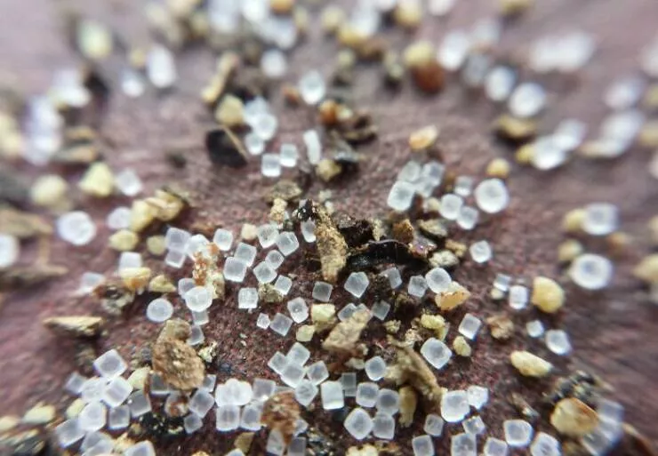 Sexy closeups of ordinary things - #7 Zoomed-In View Of Salt And Pepper Looks Like Tiny Planets