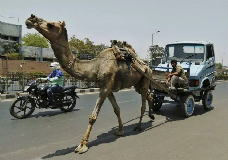 Picdump 1020 - #44 