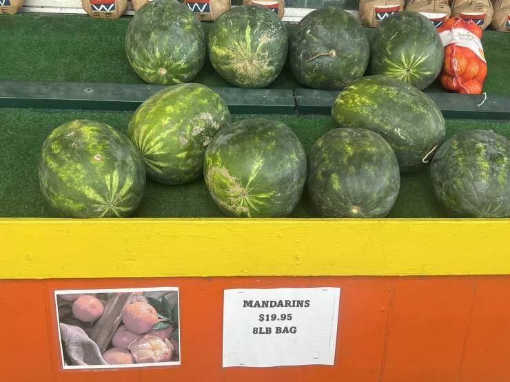 Picdump 1020 - #50 
