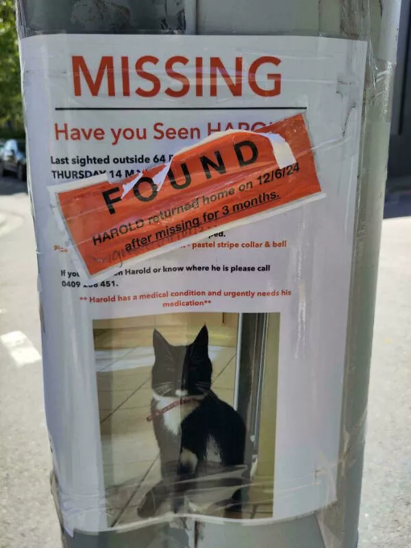 Ah bon je ne my attendais pas - #12 Affiche de chat perdu mise à jour au lieu d’être retirée
