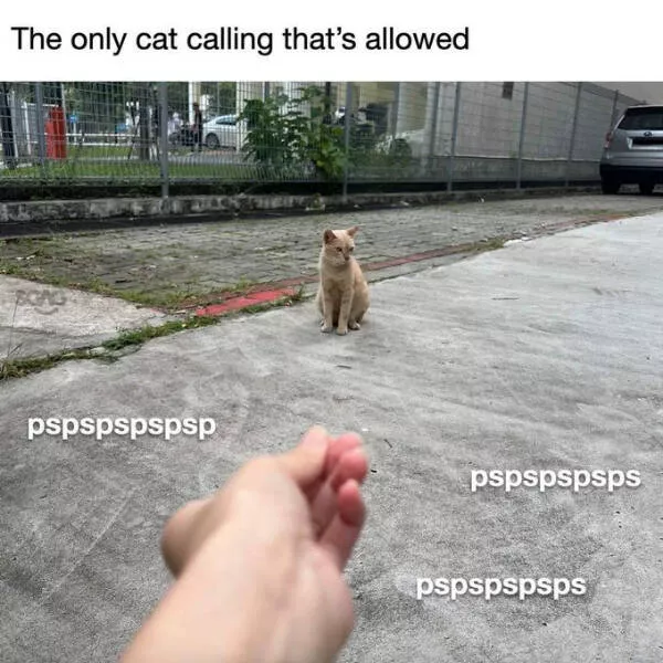 Gently uplifting moments that truly matter