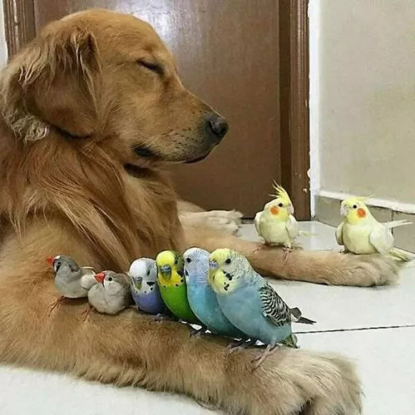 Gently uplifting moments that truly matter - #6 