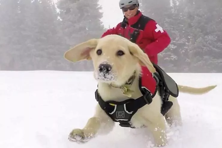Picdump 1021 - #49 
